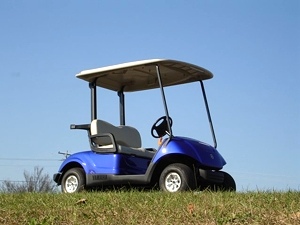 2011 Yamaha Drive Golf Cart New Low Price