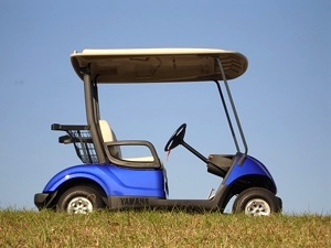 2011 Yamaha Drive Golf Cart New Low Price