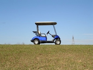 2011 Yamaha Drive Golf Cart New Low Price