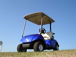 2011 Yamaha Drive Golf Cart New Low Price