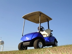 2011 Yamaha Drive Golf Cart New Low Price