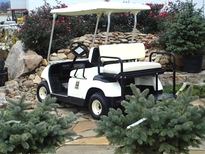 2005 Yamaha G 22 Golf Cart Electric 