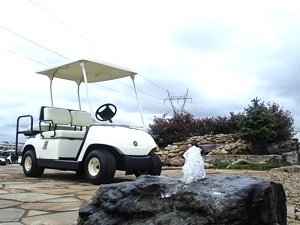 2005 Yamaha G 22 Golf Cart Electric 