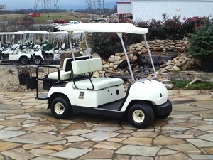 2005 Yamaha G 22 Golf Cart Electric 