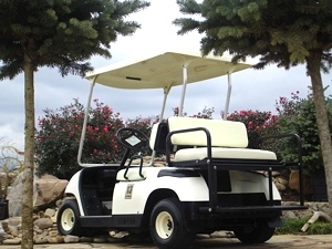 2005 Yamaha G 22 Golf Cart Electric 