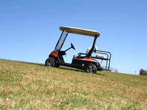 2007 Custom Yamaha Golf Cart 