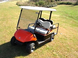 2007 Custom Yamaha Golf Cart 