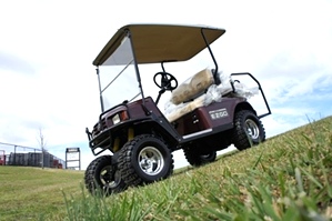 2012 New EZGO St 2+2 Gas Golf Cart 