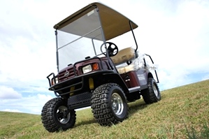 2012 New EZGO St 2+2 Gas Golf Cart 