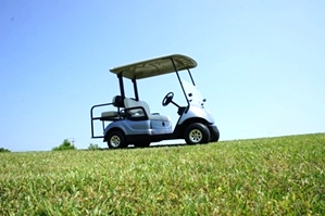 2007 Yamaha Drive Electric Golf Car 4 Passenger