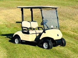 2020 Yamaha 48 Volt Electric Golf Car