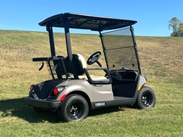 Yamaha Drive PTV Golf Car Fuel Injection
