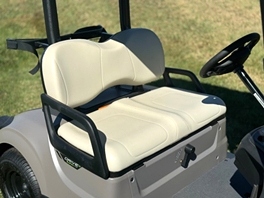 Yamaha Drive PTV Golf Car Fuel Injection