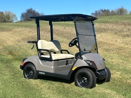 TWord0 Golf Cart