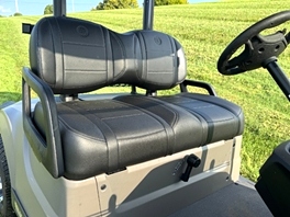 New Yamaha Drive 2 Efi Quiet Tech